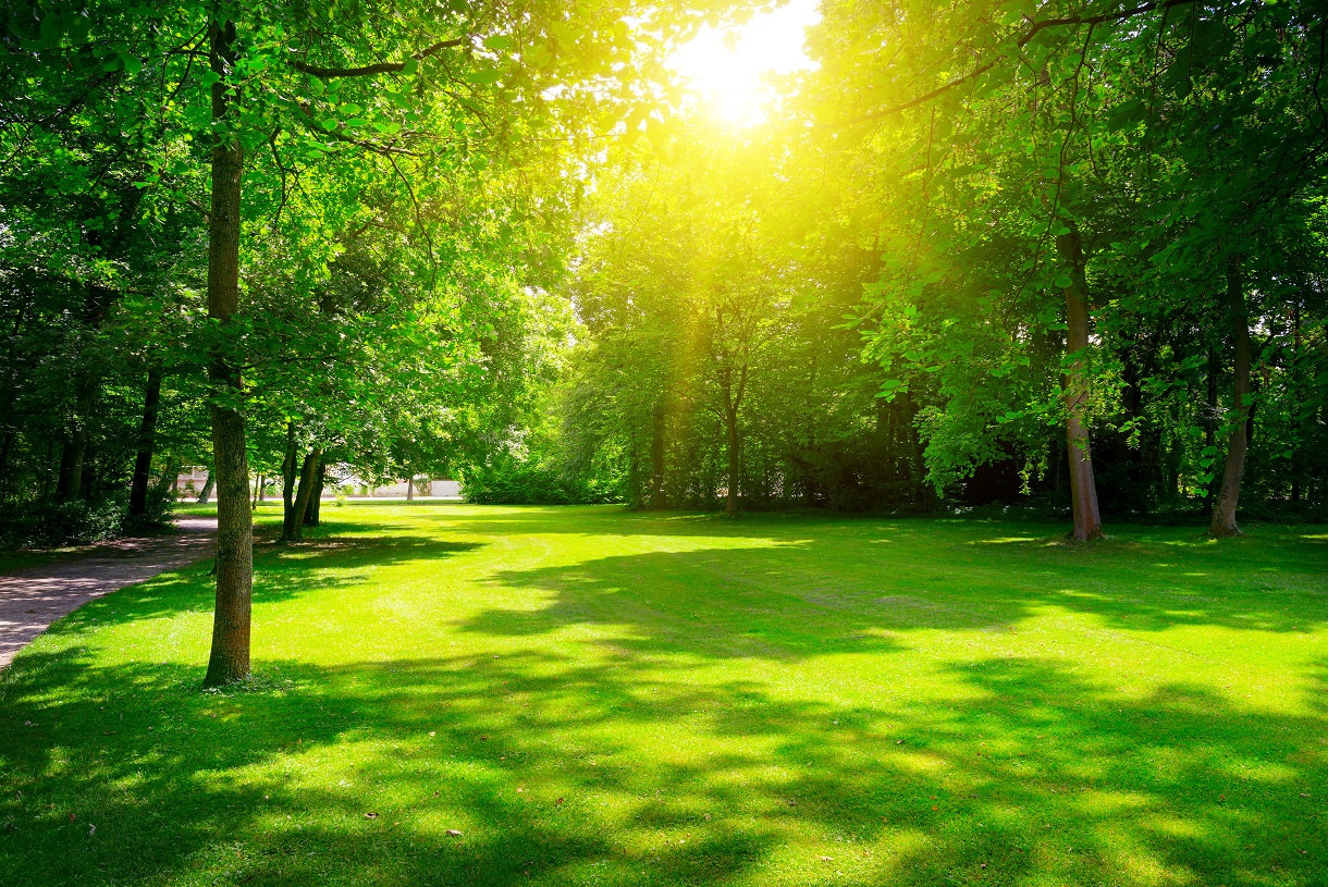 The economic value of open space and urban waterways