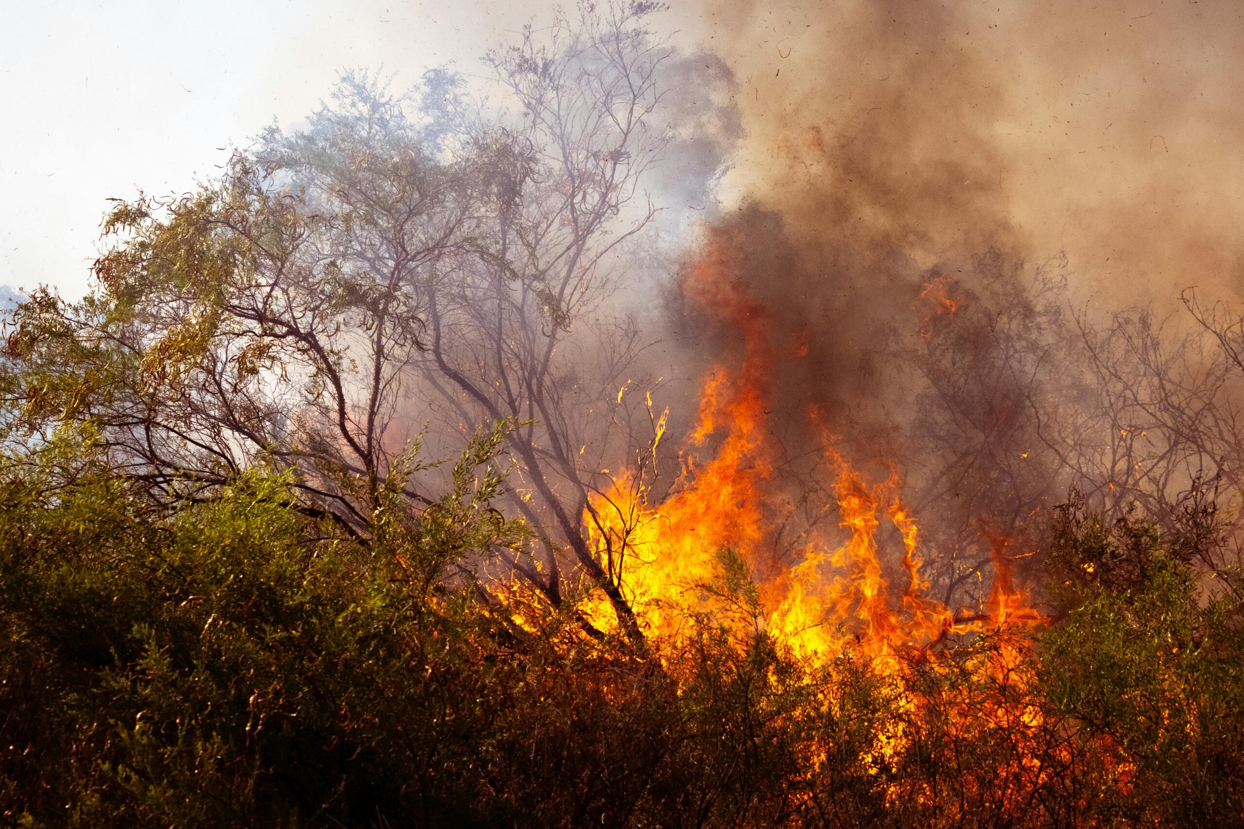 Post-fire catchment hazard