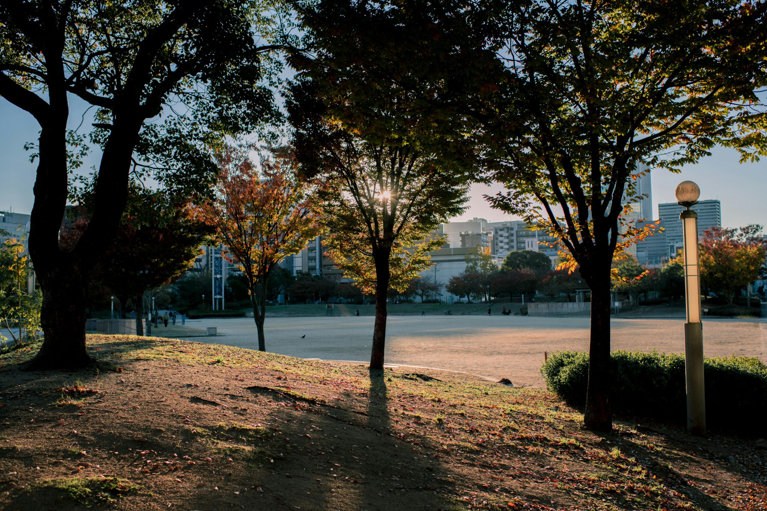 Greening Our City Program Evaluation